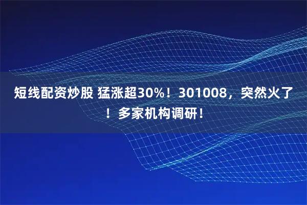 短线配资炒股 猛涨超30%！301008，突然火了！多家机构调研！