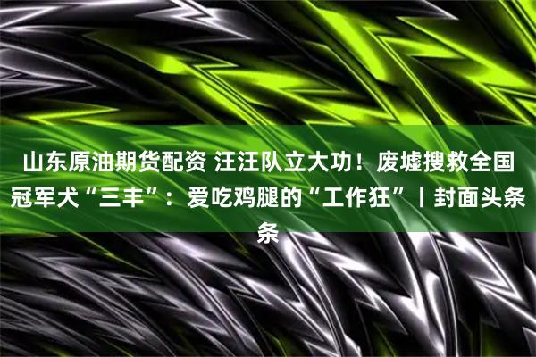 山东原油期货配资 汪汪队立大功！废墟搜救全国冠军犬“三丰”：爱吃鸡腿的“工作狂”丨封面头条